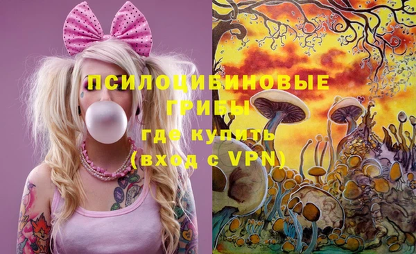 ешки Абаза