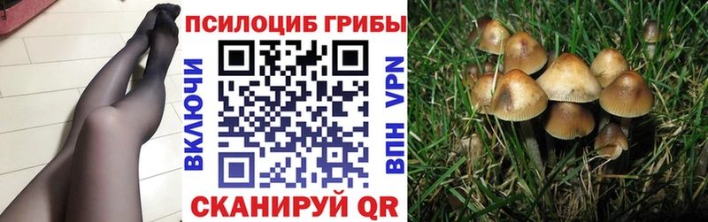 Псилоцибиновые грибы ЛСД  Темников 